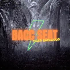 Bacc Seat - Single by Tiger Backwood album reviews, ratings, credits