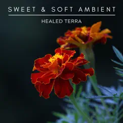 Sweet & Soft Ambient - Single by Healed Terra album reviews, ratings, credits