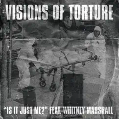 Is It Just Me? (feat. Whitney Marshall) - Single by VISIONS OF TORTURE album reviews, ratings, credits