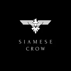 Lies and Lullabies - Single by Siamese Crow album reviews, ratings, credits