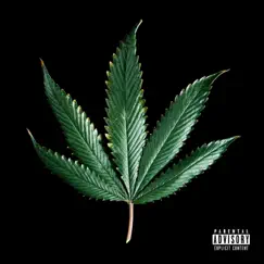 I Love Weed - Single by BRBLuhTim album reviews, ratings, credits