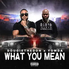 What You Mean (feat. Yowda) Song Lyrics