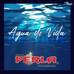 Agua de Vida - Single by Grupo Perla Colombiana album reviews, ratings, credits