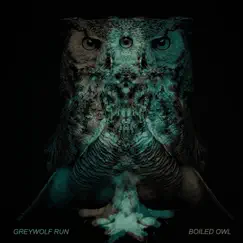 Cities - Single by Greywolf Run album reviews, ratings, credits