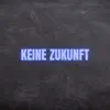 Keine Zukunft (Pastiche/Remix/Mashup) song lyrics