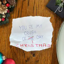 Crush of Christmas Day - Single by Erik Peers album reviews, ratings, credits