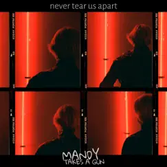 Never Tear Us Apart - Single by Mandy Takes A Gun album reviews, ratings, credits