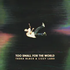 Too Small For the World Song Lyrics