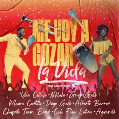 Me Voy a Gozar la Vida (feat. Chiquito Team Band, Alberto Barros, Aguanilé, Yan Collazo, Mauro Castillo & Diego Galé) Song Lyrics