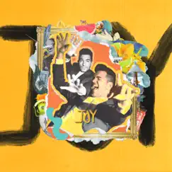 Joy - Single by Andy Grammer album reviews, ratings, credits