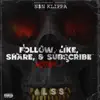 Follow, Like, Share, & Subscribe (FLSS) album lyrics, reviews, download