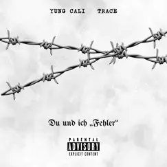 Fehler (feat. Trace) - Single by Yung Cali album reviews, ratings, credits