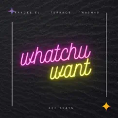 Whatchu Want - Single by Zee Beats, KayCee El, Terrace & Nash45 album reviews, ratings, credits