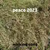 Peace 2023 - Single album lyrics, reviews, download