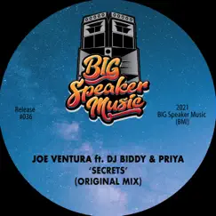 Secrets (feat. DJ Biddy & Priya) [Extended Mix] Song Lyrics