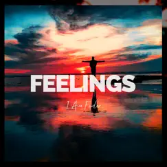 Feelings (Radio Edit) Song Lyrics