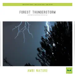 Forest Thunderstorm (Nature Sounds for Relaxation, Meditation and Deep Sleep) by Ambi Nature Sounds, Ambi Nature Radio & Ambi Nature album reviews, ratings, credits