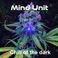 Chill of the dark Psytrance & Electronic Chill Out Song Lyrics