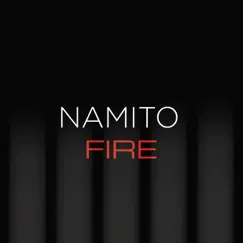 25 Years Nam - FIRE - EP by Namito, Rainer Weichhold & Brams Sedrati album reviews, ratings, credits