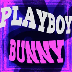 Playboy Bunny Song Lyrics