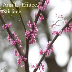 Surface - Single by Ann L. Emtee album reviews, ratings, credits