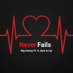Never Fails (feat. A Jene & LiQ) - Single by Big Donny album reviews, ratings, credits