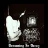 Drowning in Decay album lyrics, reviews, download