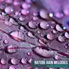 Melodic Rain Dripping song lyrics