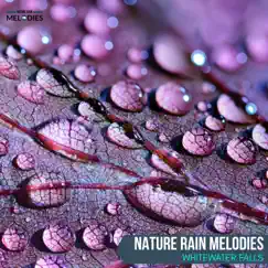Nature Rain Melodies - Whitewater Falls by The Rain Library & calm music album reviews, ratings, credits