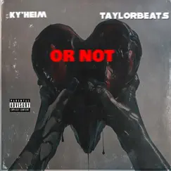Or Not (feat. TaylorBeats) Song Lyrics