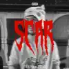 SCAR (feat. NANI & StuInTheStu) - Single album lyrics, reviews, download