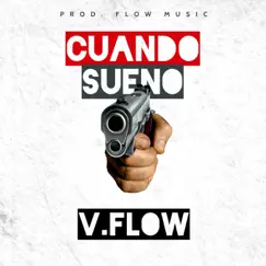 Cuando Sueño - Single by V-Flow album reviews, ratings, credits