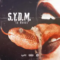 S.Y.D.M. Song Lyrics