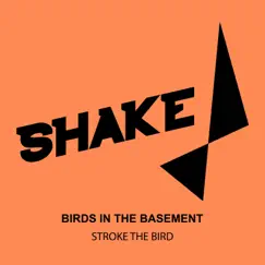 Stroke the Bird - Single by Birds in the Basement album reviews, ratings, credits