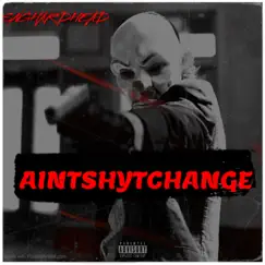 Aint Shyt Change - EP by Snghardhead album reviews, ratings, credits