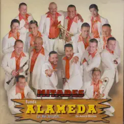 Mitades by Banda Alameda album reviews, ratings, credits