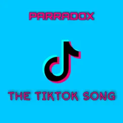 The TikTok Song Song Lyrics