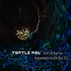 Turtle Run - Hard Fast Rap Trap Freestyle Beat 2022 (feat. Fidel Ten) - Single album lyrics, reviews, download