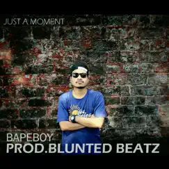 Just a Moment - Single by Bapeboy album reviews, ratings, credits
