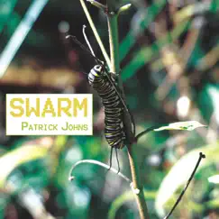 Swarm - Single by Patrick Johns album reviews, ratings, credits