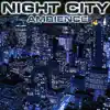 Night City Ambience (feat. Nature Sounds Explorer, Nature Sounds TM, OurPlanet Soundscapes, Paramount Nature Soundscapes, Paramount White Noise & White Noise Plus) album lyrics, reviews, download