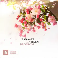 Blossom - EP by Banaati & Haen album reviews, ratings, credits