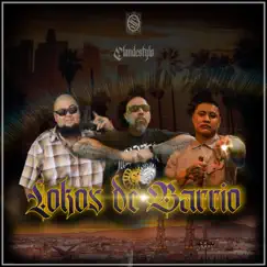 LOKOS DE BARRIO - Single by Onceavos Soldiers & Keyko Hernandez album reviews, ratings, credits