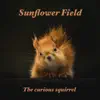 The Curious Squirrel - Single album lyrics, reviews, download