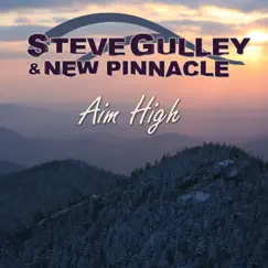 Aim High by Steve Gulley & New Pinnacle album reviews, ratings, credits