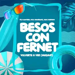 Besos Con Fernet Vs Volverte a Ver - Single by Vilu Gontero, Nico Manriquez & Agus Maidana album reviews, ratings, credits