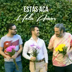 Hola Amor - Single by Estás Acá album reviews, ratings, credits