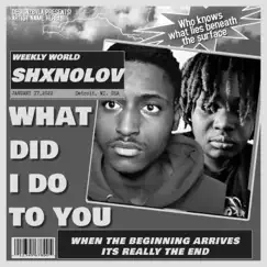 What Did I Do To u - Single by ShxNoLov album reviews, ratings, credits