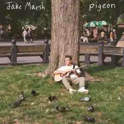 Pigeon Song Lyrics