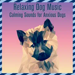 Relaxing Dog Music: Calming Sounds for Anxious Dogs by Relaxmydog, Dog Music Dreams & Dog Music album reviews, ratings, credits